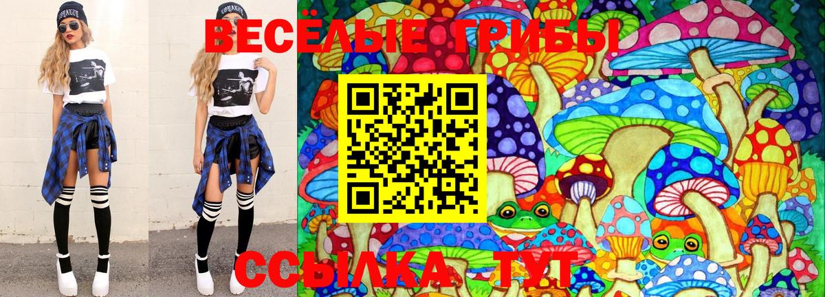 Галлюциногенные грибы Cubensis  Вход с VPN  Новочеркасск 